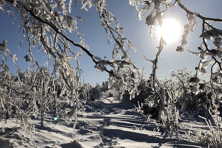 Der Winter l&auml;sst die Landschaft auf dem Velmerstot erstrahlen. - &copy; Bernd Kruse