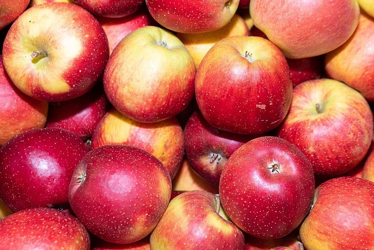 Apfel - © Foto: Sebastian Gollnow/dpa