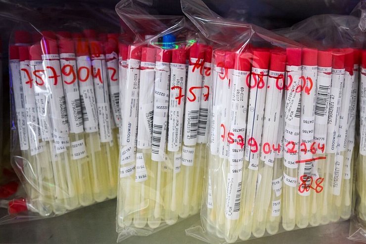 PCR-Test Auswertung im Labor - &copy; Foto: Julian Stratenschulte/dpa