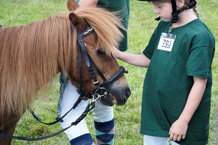 Shetlandponyturnier in Vahlhausen - © Daniela Cremer