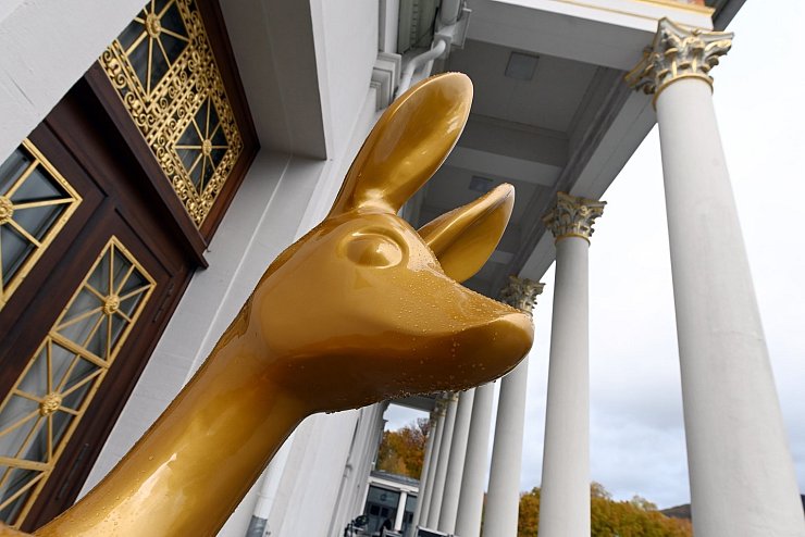 Bambi - &copy; Foto: Uli Deck/dpa