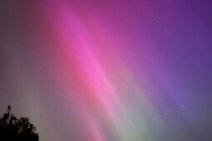 Leserin Andrea Widdowson hat dieses Bild am Samstagabend in ihrem Garten in Brakel geschossen. - &copy; Andrea Widdowson