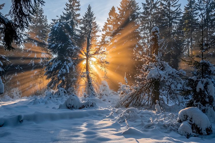 Im Winter fotografierte Stefan Völkel diese Lichtung am Rothaarsteig in Bad Berleburg. - © Stefan Völkel