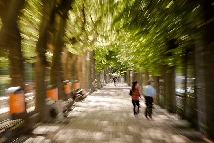 - &copy; Paul Zinken/dpa