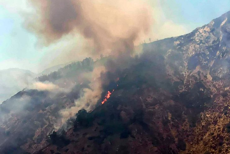 Waldbr&auml;nde in Italien - &copy; Foto: -/Parco Nazionale Aspromonte/dpa