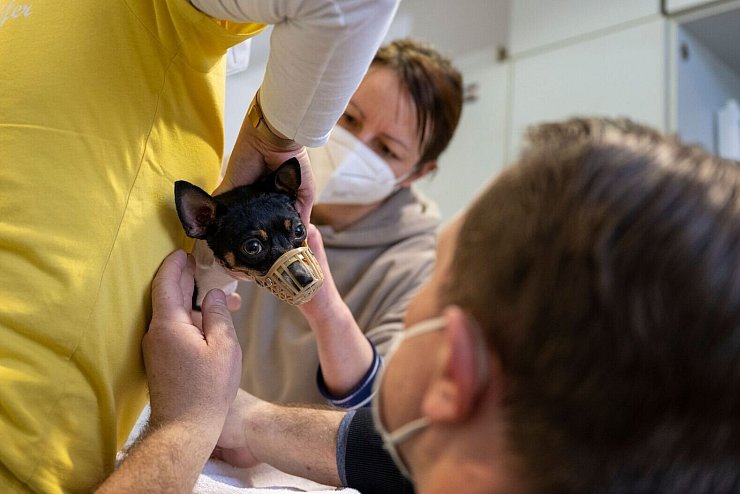 - © Monika Skolimowska/dpa-Zentralbild/dpa