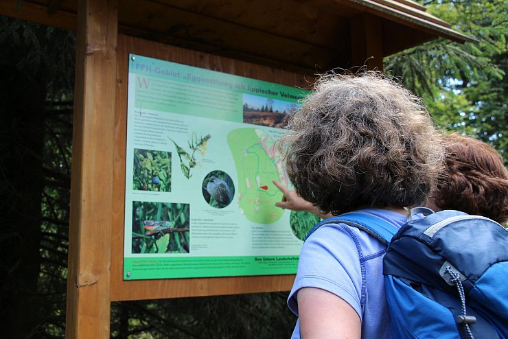 Wandern zum Lippischen Velmerstot und am Silberbach entlang. - © Janet König