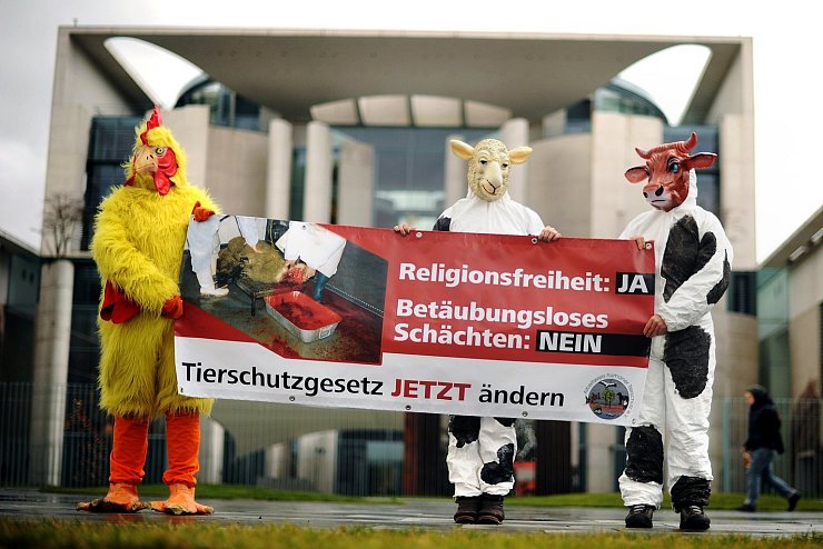 Protest gegen Schächten - © Foto: Michael Hanschke