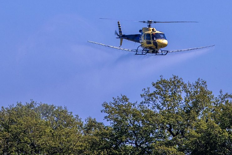 Helikopter mit Insektizid - &copy; Foto: Jens B&uuml;ttner/dpa-Zentralbild/dpa