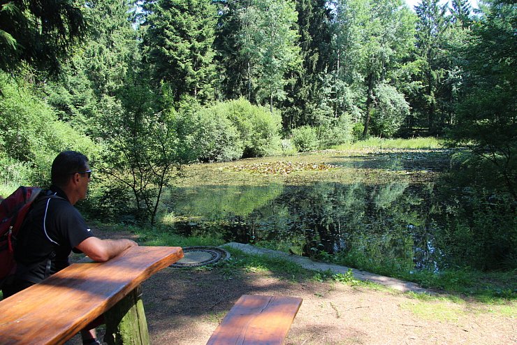 "NaturZeitReise" im Schwalenberger Wald. - © Silke Buhrmester