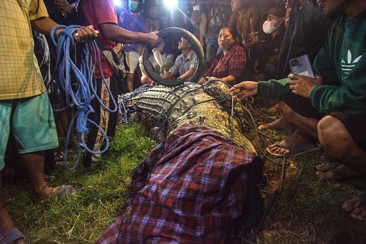 Krokodil ohne Reifen - &copy; Foto: Adi Pranata/ZUMA Press Wire/dpa