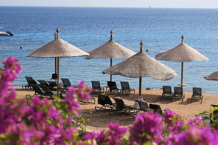 Leere Strandliegen - &copy; Foto: Andrea Warnecke/dpa/Archiv