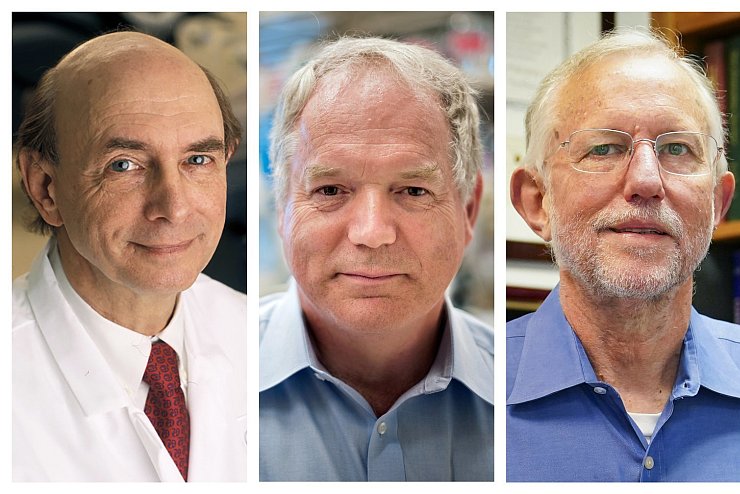 Medizin-Nobelpreisträger - © Foto: Rhoda Baer Richard Siemens John /National Institutes of Health, University of Alberta, AP/dpa