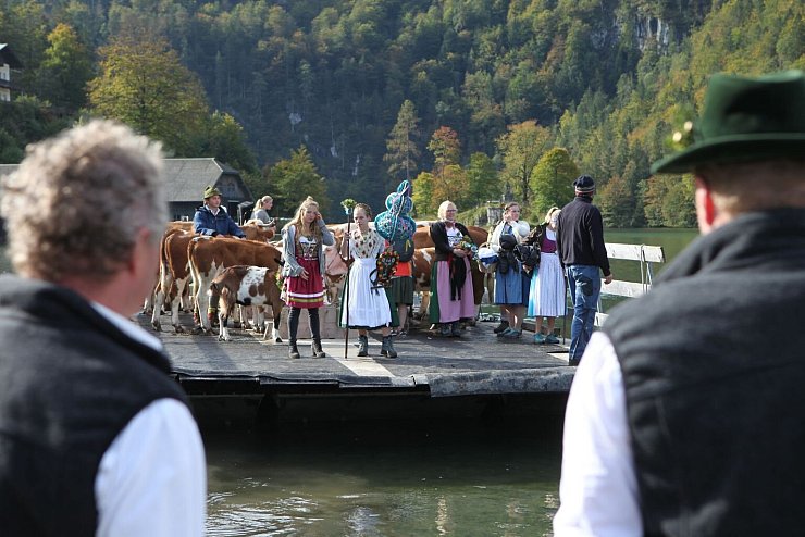 Almabtrieb am K&ouml;nigssee - &copy; Foto: Kilian Pfeiffer/dpa