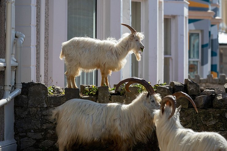Llandudno - © Foto: Peter Byrne/PA Wire/dpa
