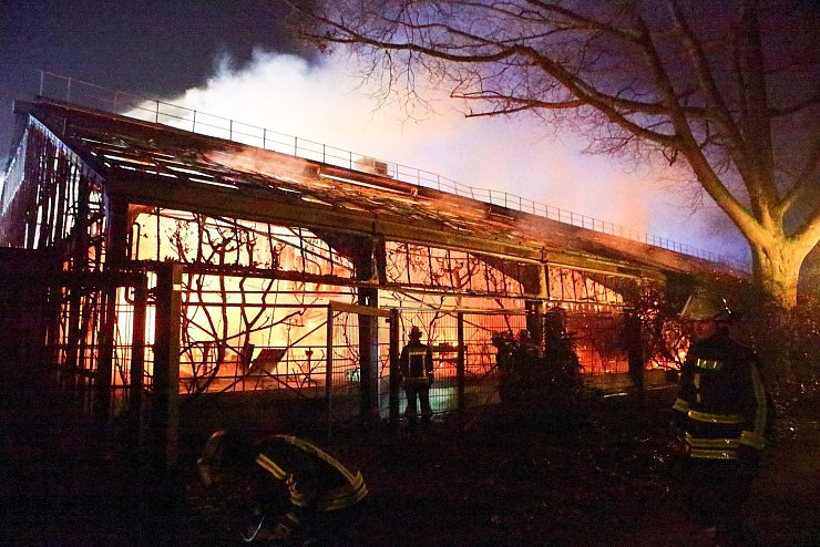 Brand im Krefelder Zoo - © Foto: Andreas Drabben/dpa/Archivbild