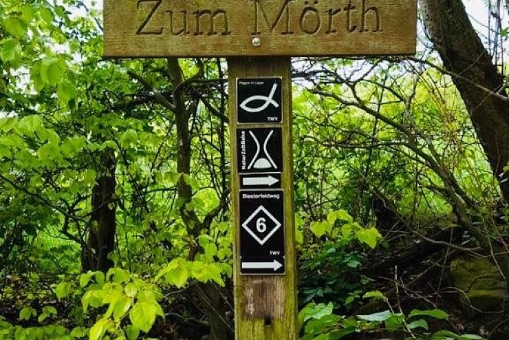 Hoch hinaus im lippischen S&uuml;dosten. - &copy; Silke Buhrmester