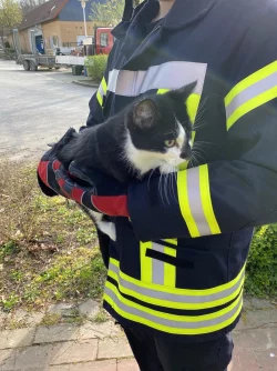 Ersch&ouml;pft: Ein Feuerwehrmann h&auml;lt die gerettete Katze im Arm. - &copy; Feuerwehr D&ouml;rentrup