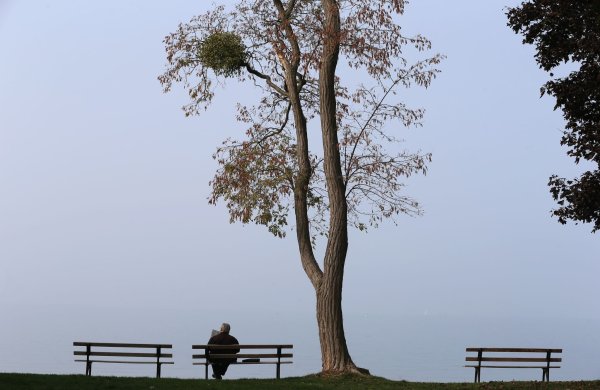 Die Menschen in NRW müssen sich in den nächsten Tagen auf Nebel und Wolken einstellen. - © Karl-Josef Hildenbrand/dpa