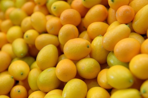 Kumquats - © Foto: Andrea Warnecke/dpa-tmn