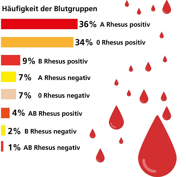 So verteilen sich die Blutgruppen in Deutschland. - © Quelle: DRK