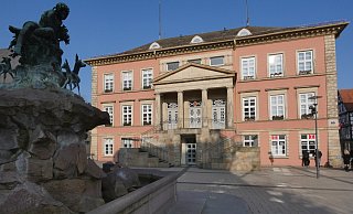 Die AfD verliert den Fraktionsstatus im Detmolder Stadtrat. - Jost Wolf