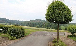 Am Ende der Wohnsiedlung "Saulsiek" ist von Baugebiet noch nichts in Sicht. Geht es nach der CDU und SPD, soll sich das schnell ändern. Im Betriebsausschuss wurde dem stattgegeben. - Kirsten Fuhrmann