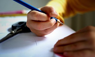 Die Anmeldezahlen für die Schulen und Kitas in Lügde liegen vor. - Symbolbild: Pixabay