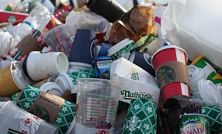Einwegverpackungen sind ein großes Problem. Vor allem, wenn sie in der Natur landen statt im Mülleimer. - Symbolbild: Pixabay