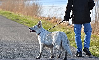 Symbolbild - Pixabay Symbolbild - Pixabay