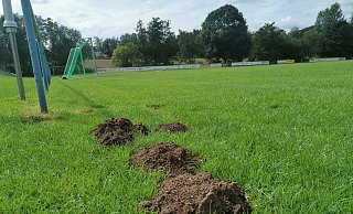 Neues Sanierungsprojekt des TBV Jahn Alverdissen: die Maulwurfshügel und Wühlmausgänge machen den Sportplatz am Hettberg unbespielbar. Im nächsten Frühjahr plant der Verein eine Totalrenovierung. - Sylvia Frevert