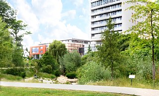 Zu einem attraktiven und zukunftsfähigen Klima-Quartier will die CDU das Areal rund ums Klinikum umgestalten. - CDU Zu einem attraktiven und zukunftsfähigen Klima-Quartier will die CDU das Areal rund ums Klinikum umgestalten. - CDU