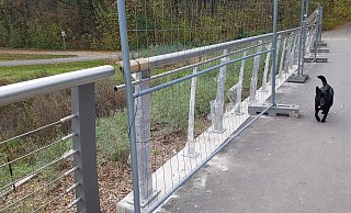 Über ein Jahr nach der Installation des Brückengeländers an der neuen Emmerbrücke für Radfahrer und Fußgänger wurde jetzt eine Ergänzung installiert. Noch schützt ein
Bauzaun die Konstruktion, weil die Stahlseile als Querverstrebung fehlen. - Marianne Schwarzer Über ein Jahr nach der Installation des Brückengeländers an der neuen Emmerbrücke für Radfahrer und Fußgänger wurde jetzt eine Ergänzung installiert. Noch schützt ein
Bauzaun die Konstruktion, weil die Stahlseile als Querverstrebung fehlen. - Marianne Schwarzer