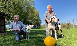 Thomas Schmitz und Melanie Vogt mit Mischling Yuma und Dogge Bentley auf dem Gelände des Tierheims. - Sven Kienscherf Thomas Schmitz und Melanie Vogt mit Mischling Yuma und Dogge Bentley auf dem Gelände des Tierheims. - Sven Kienscherf