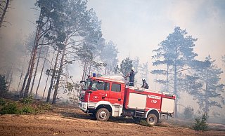 Einsatzkräfte der Feuerwehr bekämpfen in einem Waldstück nahe Jüterbog das Feuer. - Fabian Sommer/dpa Einsatzkräfte der Feuerwehr bekämpfen in einem Waldstück nahe Jüterbog das Feuer. - Fabian Sommer/dpa