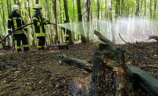 Brand im Unterholz: Auf 2000 Quadratmetern musste die Feuerwehr am Dohlenberg den gesamten Waldboden auf links drehen. - Marianne Schwarzer