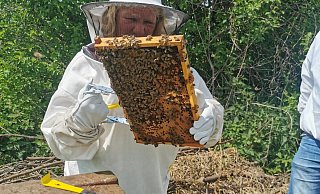 Zum ersten Mal in Kontakt mit Tausenden Bienen: LZ-Mitarbeiterin Sylvia Frevert bei der Kontrolle ihres Bienenhauses. - Fotorechte: Sylvia Frevert