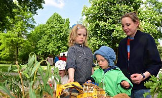 Jannis, Anton und Hella Raudszus (v.l.) haben Spaß am gemeinsamen Entdecken und testen die Fließrichtung des Wassers nach selbstgebauten Veränderungen. - Nicole Ellerbrake Jannis, Anton und Hella Raudszus (v.l.) haben Spaß am gemeinsamen Entdecken und testen die Fließrichtung des Wassers nach selbstgebauten Veränderungen. - Nicole Ellerbrake