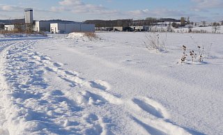 Bis Montag sind noch Stellungnahmen zum Bebauungsplan Be10 möglich, der die Weichen für die Ansiedlung eines großen Logistikzentrums im Industriepark Lippe bei Belle stellt. Die Initiative „Beller Feld" scheitert mit einem Antrag auf Fristverlängerung. - Jost Wolf