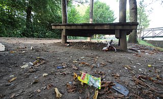 M&uuml;ll am M&uuml;hlendamm ist vielen Hohenhausern ein Dorn im Auge. - Jens Rademacher