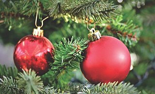 Ist der Schmuck vom Baum entfernt, kann er zur Abholung bereit gelegt werden. - Pixabay