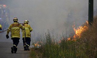 Feuerwehrleute bei L&ouml;scharbeiten in Taree in New South Wales. Wegen der seit Tagen w&uuml;tenden Buschbr&auml;nde hat der australische Bundesstaat f&uuml;r diese Woche den Notstand ausgerufen. - Foto: Darren Pateman/AAP/dpa