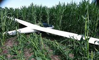 Das Flugzeug landete in einem hoch stehenden Maisfeld. - Freiwillige Feuerwehr Oerlinghausen Das Flugzeug landete in einem hoch stehenden Maisfeld. - Freiwillige Feuerwehr Oerlinghausen