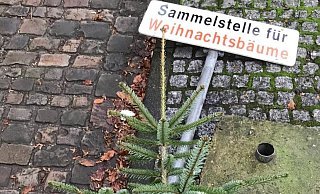Sammelstellen gibt es in vielen Kommunen. - Archivfoto: Tanja Watermann