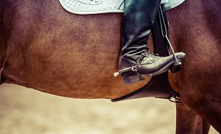 Eine Reiterin verunfallte. - Symbolbild: Pixabay