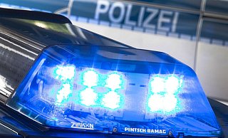 Ein Blaulicht leuchtet auf dem Dach eines Polizeiwagens. - Friso Gentsch/dpa/Archivbild