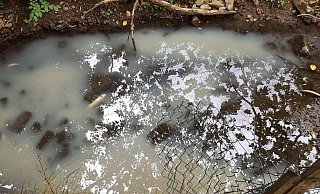 So sah der Aschbach in Bösingfeld am Freitagnachmittag aus. Die Feuerwehr musste das verunreinigte Wasser abpumpen. - Peter Völmeke/Kreis Lippe