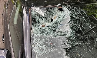 Der umstürzende Baum demolierte die Windschutzscheibe eines vorbeifahrenden Autos. - Feuerwehr Detmold/C.Rieks Der umstürzende Baum demolierte die Windschutzscheibe eines vorbeifahrenden Autos. - Feuerwehr Detmold/C.Rieks