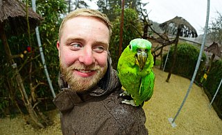 Die Mülleramazone „Coco" trotzt am Samstag in Heiligenkirchen dem Regen und posiert mit dem Vogelpark-Geschäftsführer Marc-Philip Eckstein für ein Foto. - Nicole Ellerbrake Die Mülleramazone „Coco" trotzt am Samstag in Heiligenkirchen dem Regen und posiert mit dem Vogelpark-Geschäftsführer Marc-Philip Eckstein für ein Foto. - Nicole Ellerbrake