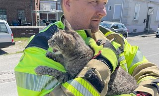 Viel Stress für die kleine Samtpfote, glücklicherweise ist ihr augenscheinlich nicht viel passiert. - Feuerwehr Lage Viel Stress für die kleine Samtpfote, glücklicherweise ist ihr augenscheinlich nicht viel passiert. - Feuerwehr Lage